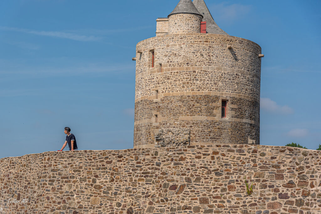Château de Fougères